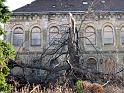2007-01-21, Sturmschäden Übigau (3)